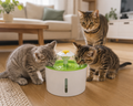 Bloem Drinkfontein voor Katten – Vers Stromend Water (2,4L)